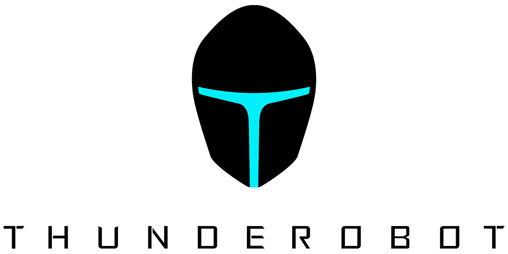 Ремонт мониторов Thunderobot